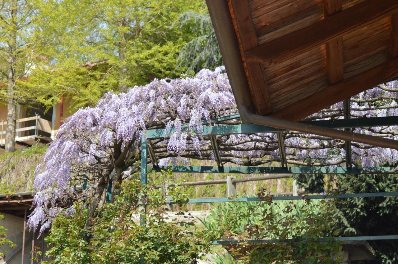 L'Uovo E La Faina Bed & Breakfast Busca Luaran gambar