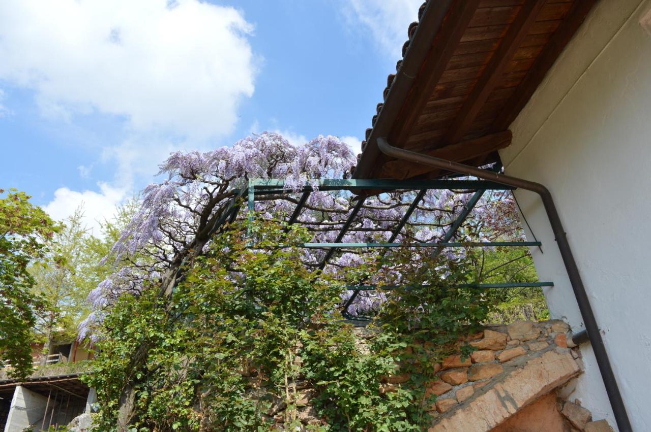 L'Uovo E La Faina Bed & Breakfast Busca Luaran gambar